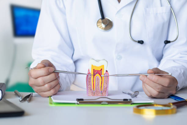 Best Urgent Care for Lost Fillings or Crowns in East Quincy, CA